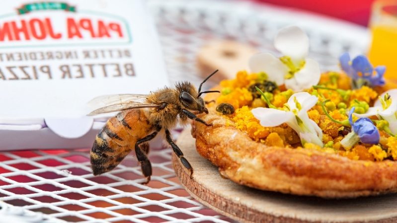 Pizza para abelhas? Conheça a menor pizza do mundo.