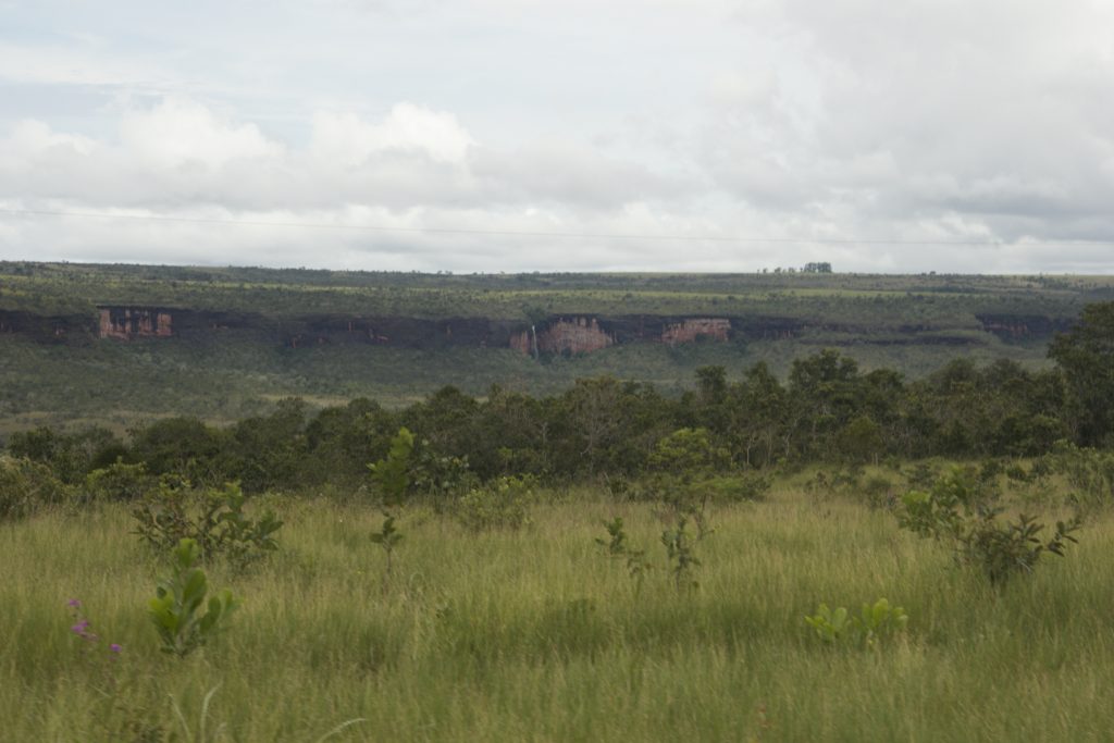 Fotografia de vegetação na Serra do Roncador, no estado Mato Grosso. Ao fundo, é possível ver as chapadas. Fonte: Casa Roncador